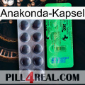 Anaconda Capsule new04